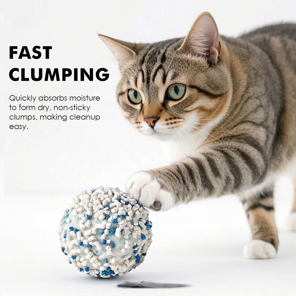 Noisy Lion Cassava Cat Litter Bulk Pack 14.4kg (6×2.4kg), Plant-Based Flushable, 99.9% Dust-Free, 99.1% Odor Control (CTI Lab Verified), Strong Clumping, 3-Month Supply for Multi-Cat Households