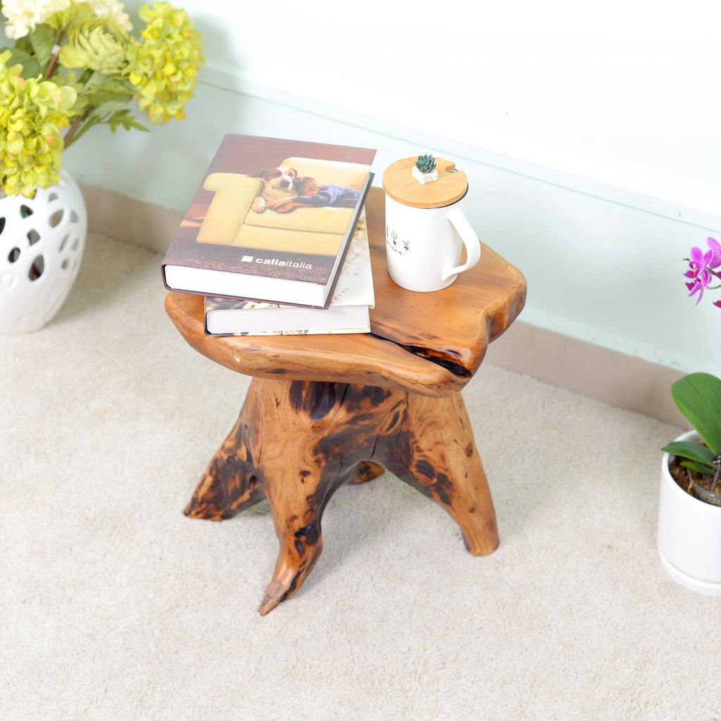 Natural Edge Solid Fir Wood Tree Stump Stool Side Table 280LBS Irregular Organic Design Waterproof for Living Room Bedroom Plant Stand Footstool Indoor Outdoor