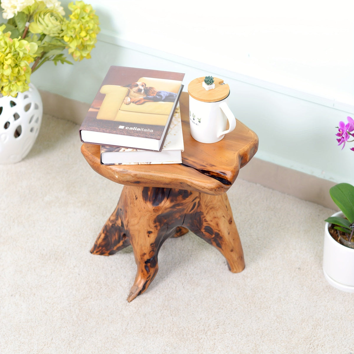 Natural Edge Solid Fir Wood Tree Stump Stool Side Table 280LBS Irregular Organic Design Waterproof for Living Room Bedroom Plant Stand Footstool Indoor Outdoor
